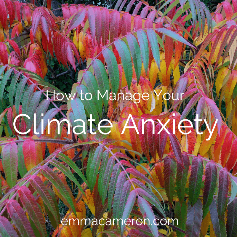 how-to-manage-your-climate-anxiety-emmacameron